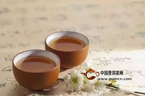 森林藏古树，闻香识茶