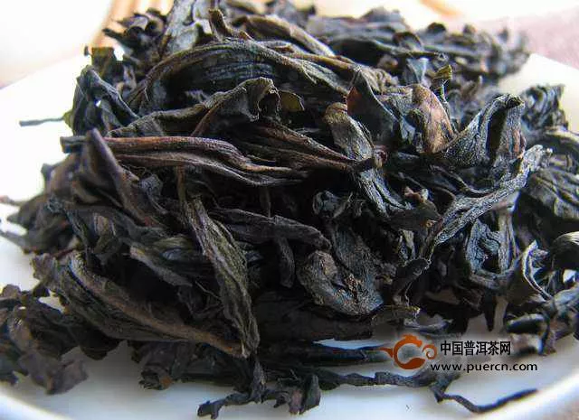 水金龟茶属于什么茶类