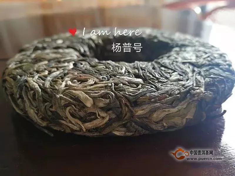 苦茶者，苦而立化，方為上品