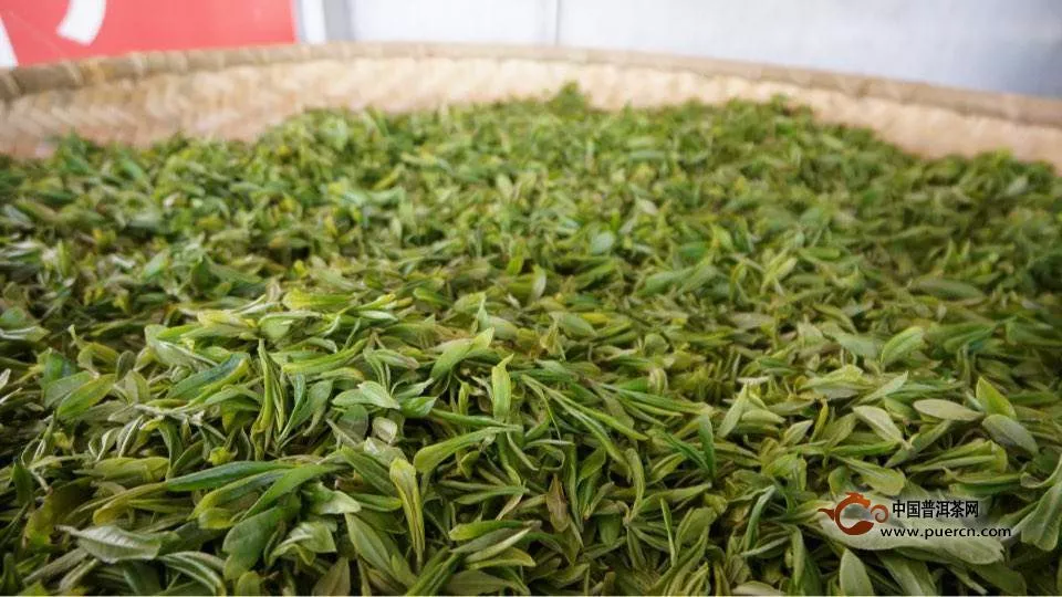 漳平水仙属于什么茶
