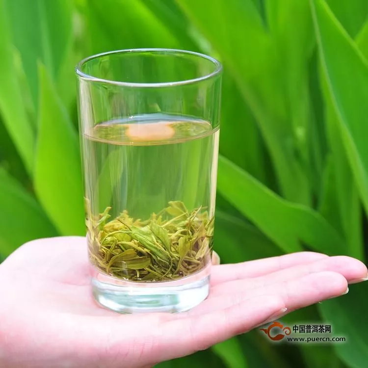 详解中国绿茶的4大品种