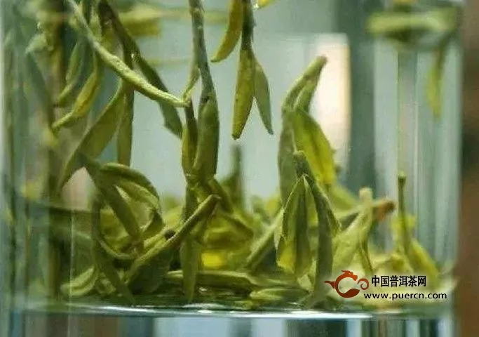 廬山云霧茶的沖泡方法