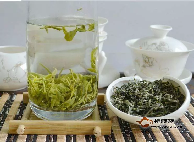 雪水云绿茶是什么茶