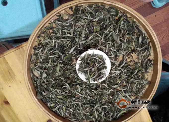 白牡丹屬于什么茶