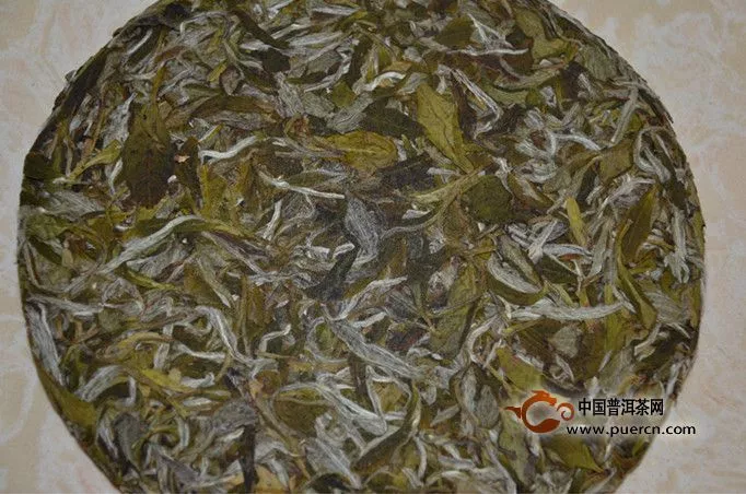 白牡丹屬于什么茶