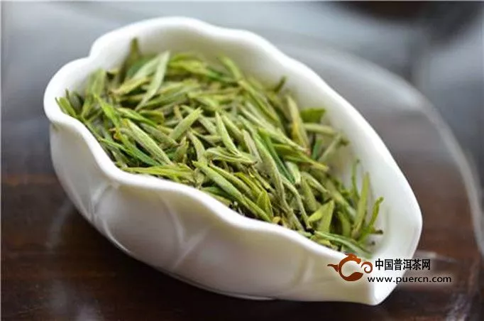 廣東大葉青是什么茶