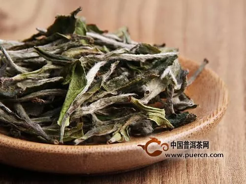 白茶代表茶有哪些