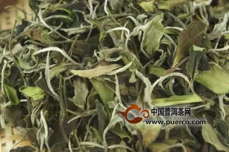 白茶代表茶有哪些