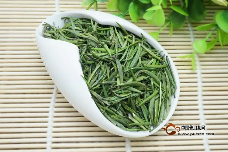 文君嫩绿茶叶属于什么茶