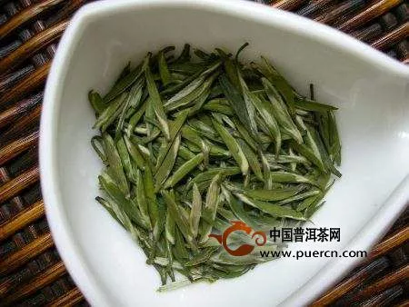 金山翠芽是绿茶吗