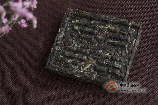 华砖生茶：2味俱品，来一场关于秘茶园的舌尖体验