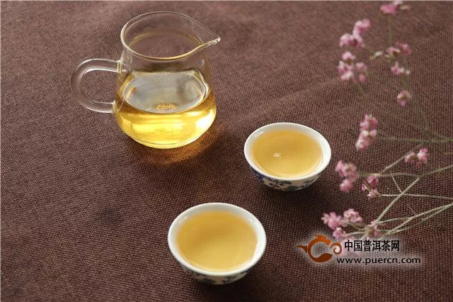 华砖生茶：2味俱品，来一场关于秘茶园的舌尖体验