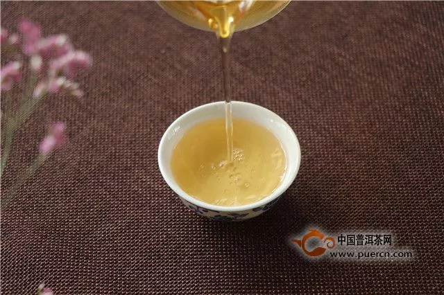 华砖生茶：2味俱品，来一场关于秘茶园的舌尖体验