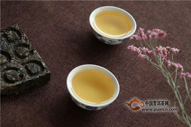 华砖生茶：2味俱品，来一场关于秘茶园的舌尖体验