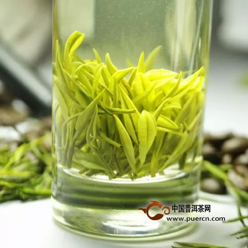 常喝竹葉青茶對身體的好處