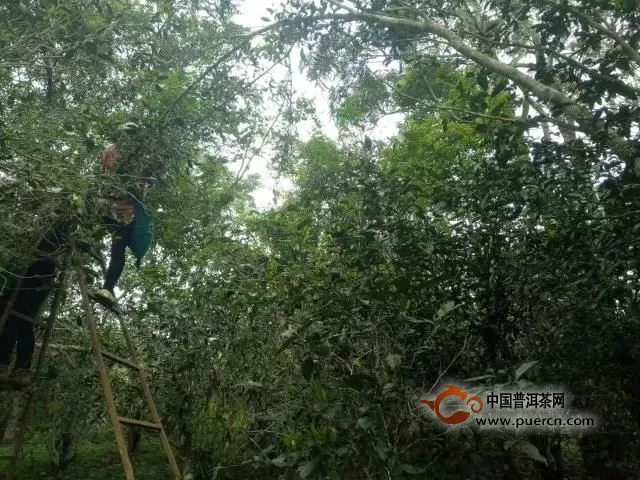 自帶仙氣的你——銅箐河