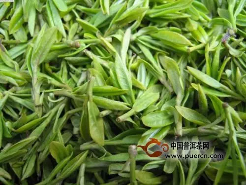 秦巴霧毫茶屬于什么茶類