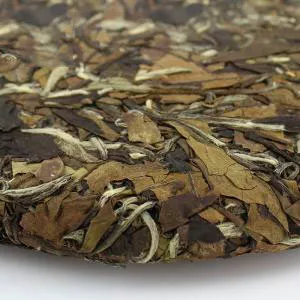 白茶的主要品种