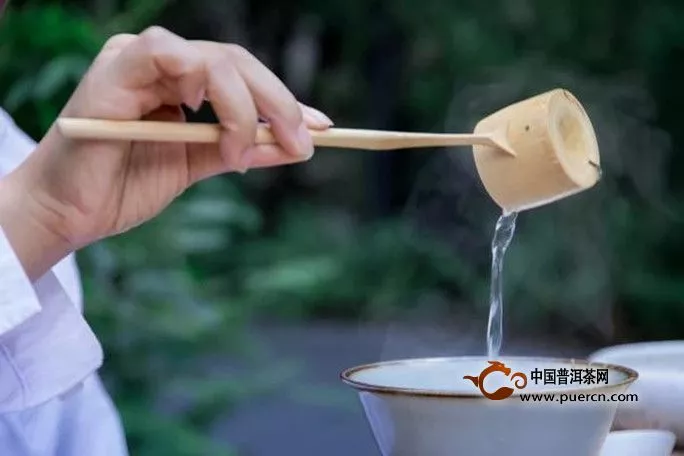 松萝茶的泡法