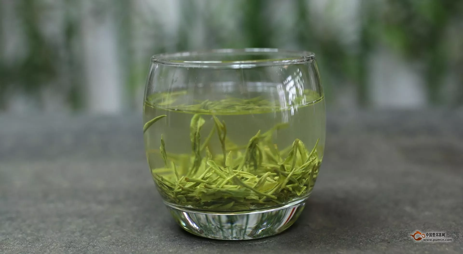 天天喝绿茶对身体好吗