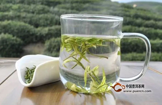 泡白茶用什么茶具