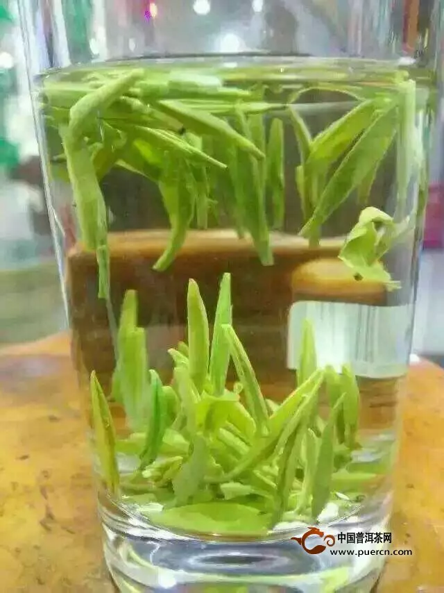 安吉白片茶的功效与作用