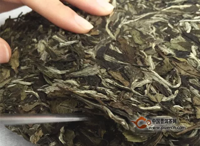 壽眉茶餅正確取茶的方法