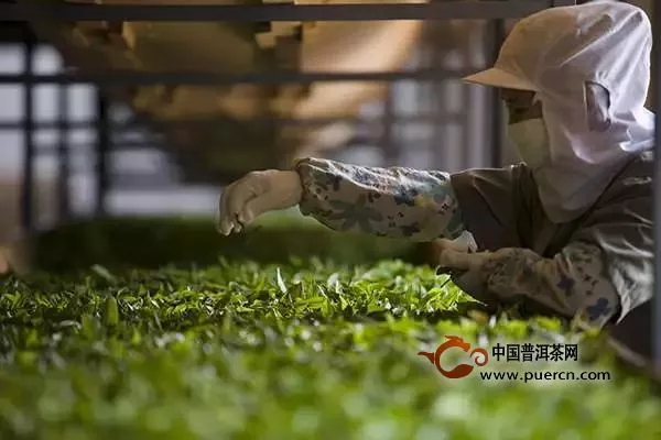 【行业】茶产业价值重塑