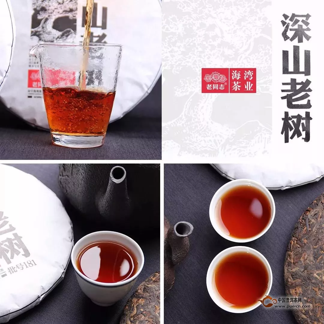 『Tea-新品』老同志181批深山老樹(shù)熟餅