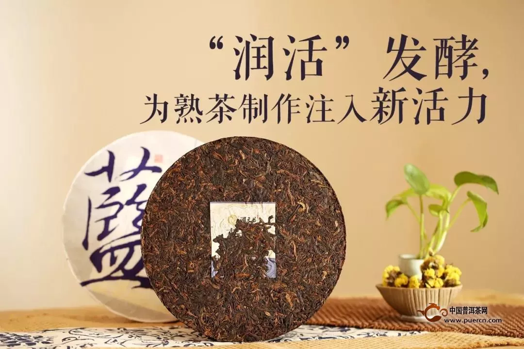 转载｜追求极致，茶企创新的姿态