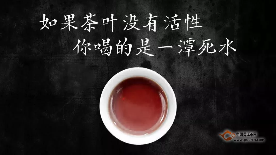 转载｜追求极致，茶企创新的姿态