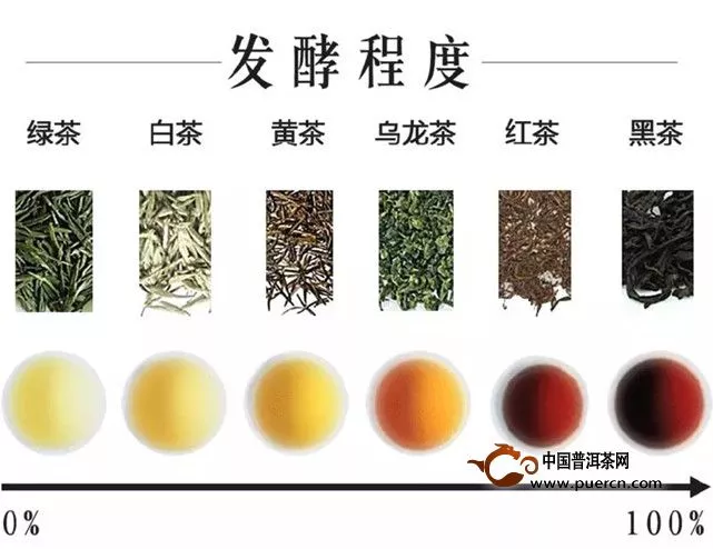 六大茶类的发酵分别有什么不同