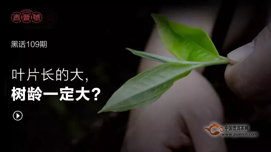 滿當(dāng)當(dāng)?shù)母韶?，充?shí)一夏天|黑話7月精彩合集