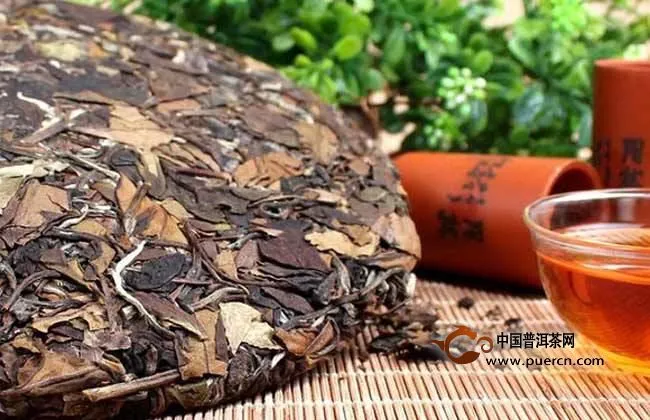 老白茶开饼需要醒茶吗?