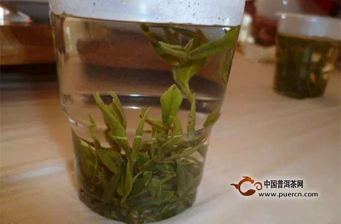 紫笋茶的保健功效