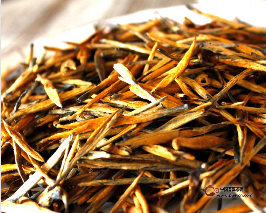 滇红金芽是什么茶？ 