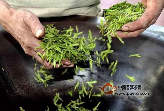 黃竹白毫的加工技術(shù)