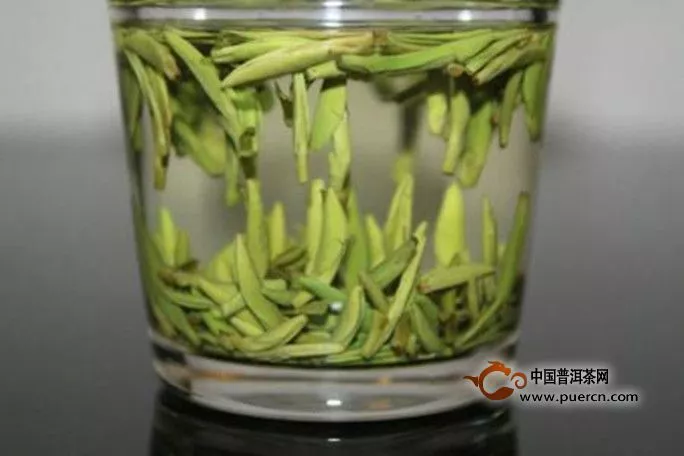 雀舌茶叶多少钱一斤
