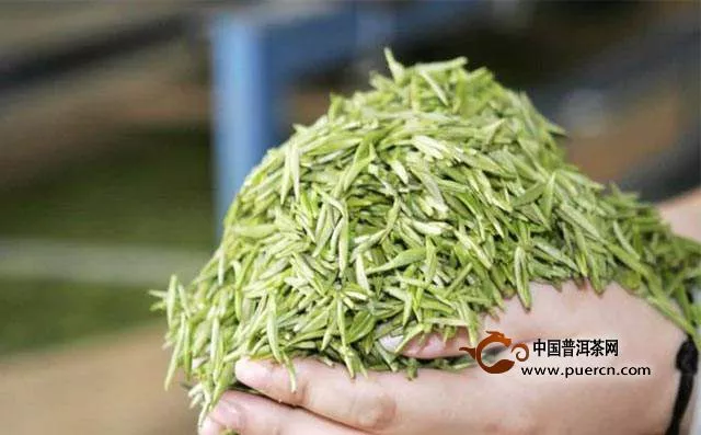 沩山毛尖是名茶吗