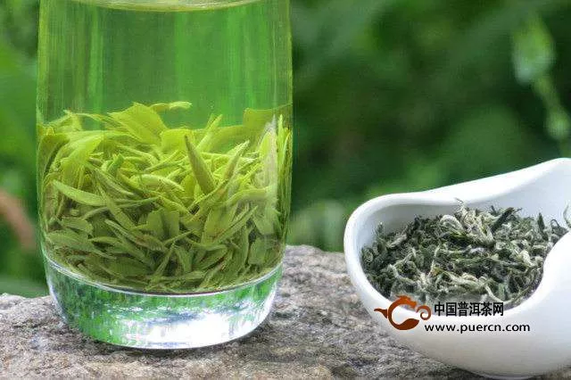 仰天雪綠茶的生長(zhǎng)環(huán)境如何