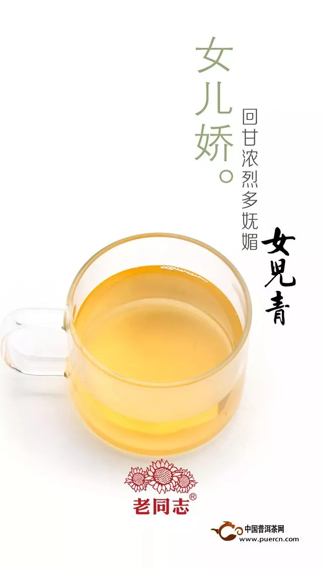 『Tea-新品』老同志 第11代女儿青