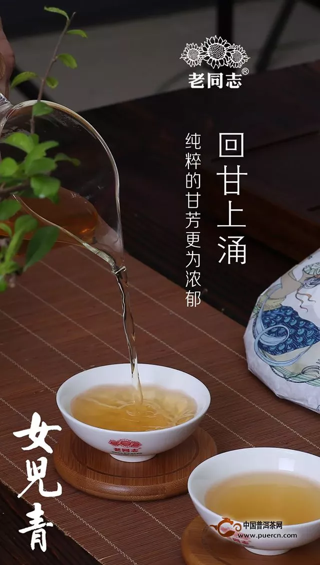『Tea-新品』老同志 第11代女儿青