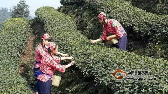 蒙頂茶由來(lái)傳說(shuō)