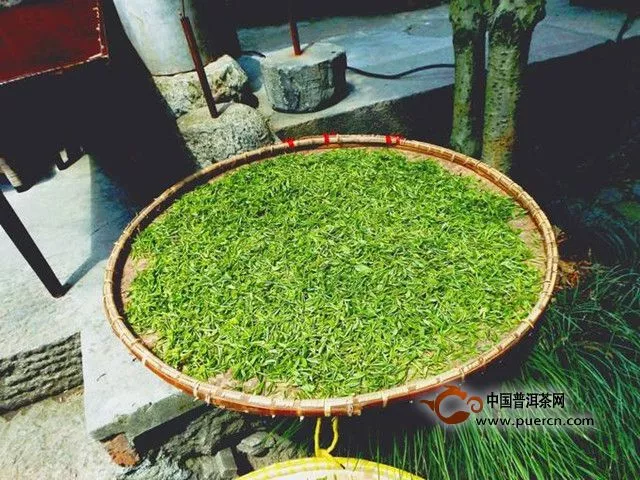 龙井茶的制作流程