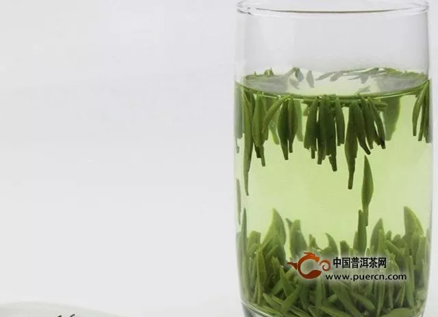 東白春芽是綠茶嗎