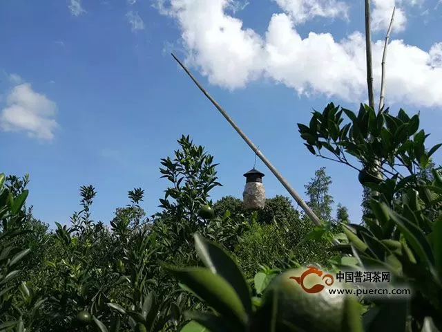 情不知所起·一往情深·青梅竹馬小故事