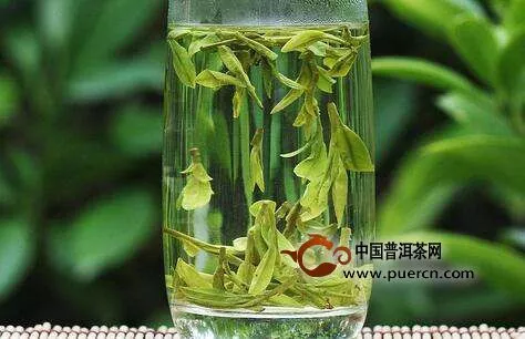 休寧松蘿茶的藥用價(jià)值