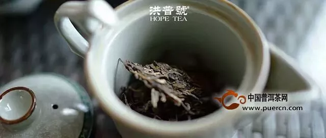 【茶事】天氣漸漸涼，喝茶請認這四類茶