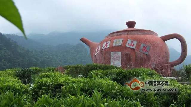 桂平西山茶多少一斤