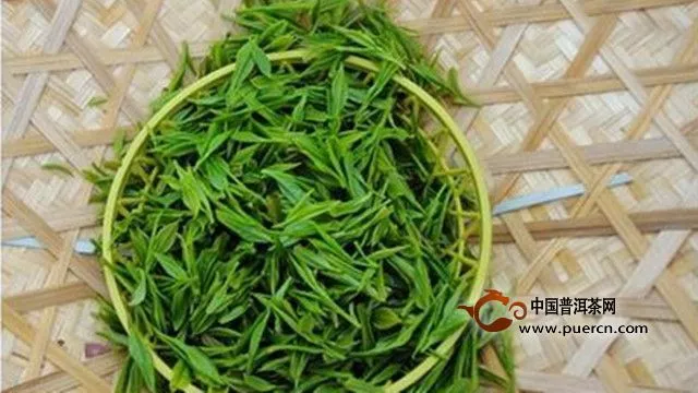 貴定云霧茶特點